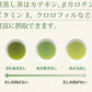 【2個セット】日本橋いなば園 静岡深蒸し茶 掛川茶 100g ネコポス メール便送料無料