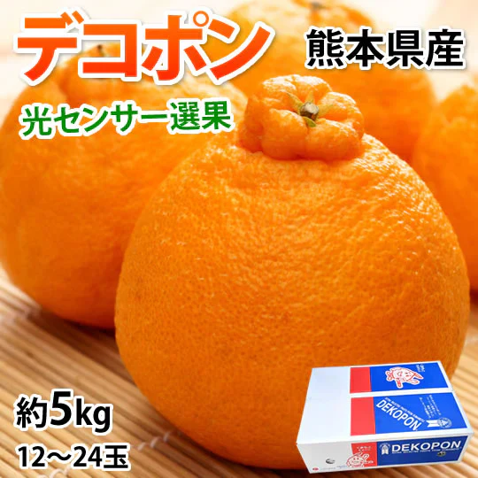 デコポン 光センサー選果 約5kg みかん 御歳暮 ギフト DEKOPON 熊本県産 不知火 フルーツ お取り寄せ 蜜柑 ミカン
