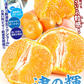 みかん　大分産　津の輝　1.5kg　ご家庭用（発送予定：2025年1月下旬より）