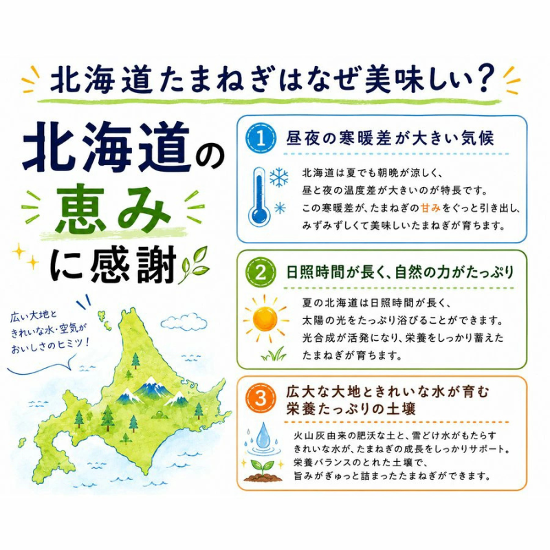[みさわのやさい] 玉ねぎ 淡路島 3kg サイズお任せ(M〜2L) 国産 皮茶 玉葱 たまねぎ タマネギ 皮 保存野菜 常備野菜