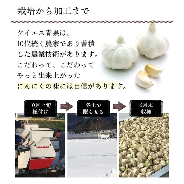 青森県産にんにくスライス (乾燥) 20g 3袋セット