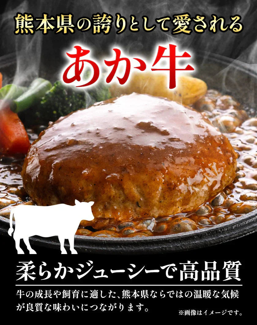 大容量 ハンバーグ 1.5kg (150g × 10個) 国産 熊本県 あか牛 九州産 卵 デミグラスソース 冷凍 レトルト お湯 湯煎 するだけ 温めるだけ お弁当 にも使えて便利《1-5営業日以内に出荷予定(土日祝日除く)》