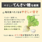 大麦粉使用の豆乳おからクッキー 500g 送料無料