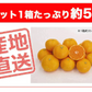 みかん 5kg 送料無料 愛媛みかん 温州みかん ミカン 蜜柑 安い 甘い 箱買い 産地直送 愛媛県産 YDF-000