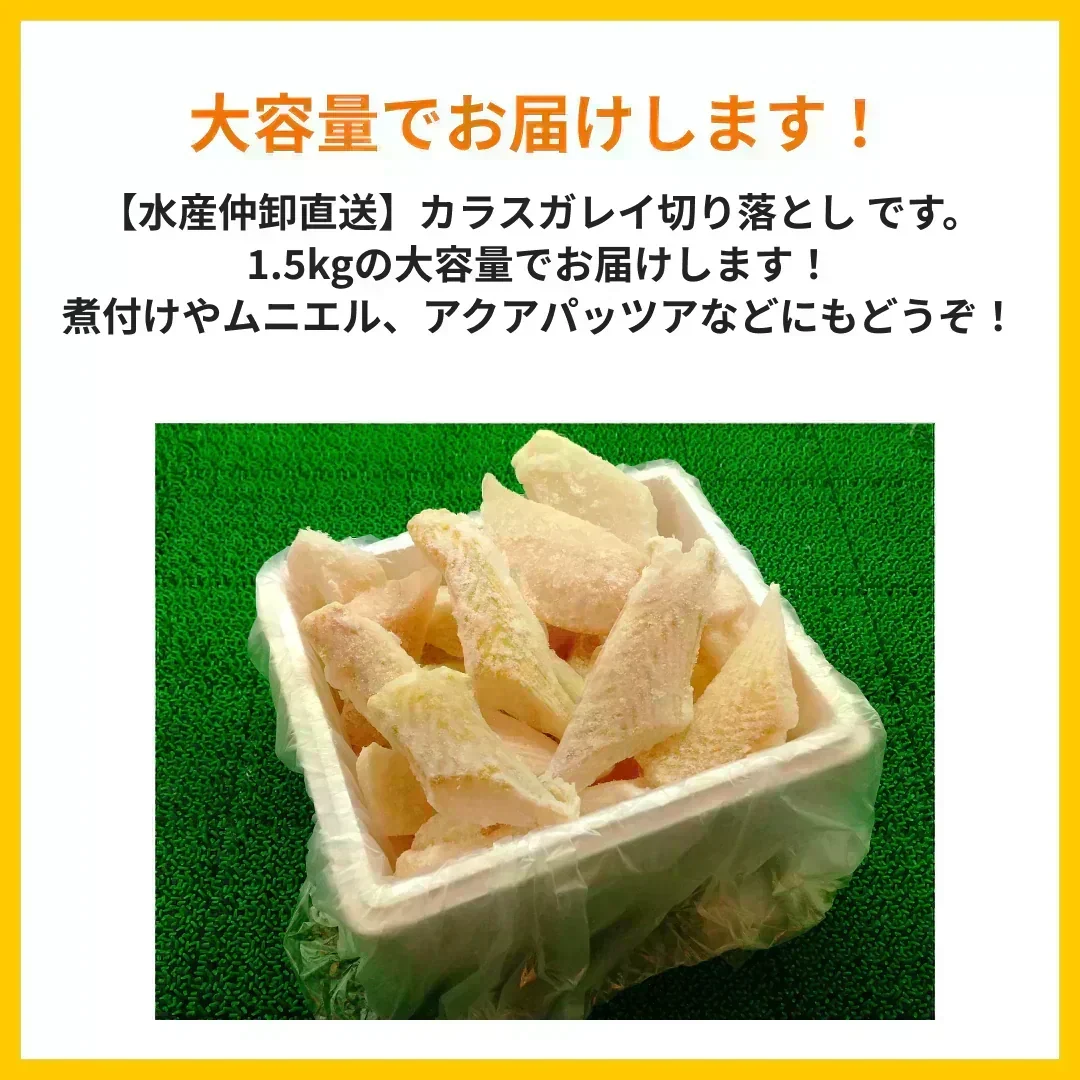 【水産仲卸直送】カラスガレイ切り落とし　大好評シリーズ！どどんと1.5kg！