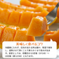 ＜数量限定＞【1玉入り】訳あり 富良野産赤肉メロン ｜ 中玉（1玉1.6kg以上） 送料無料【ゲリラセール】