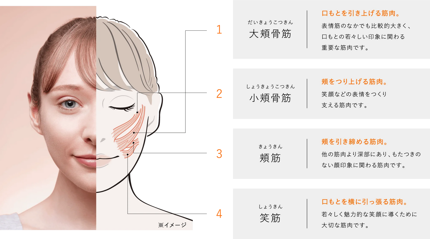 SIXPAD Facial Fit