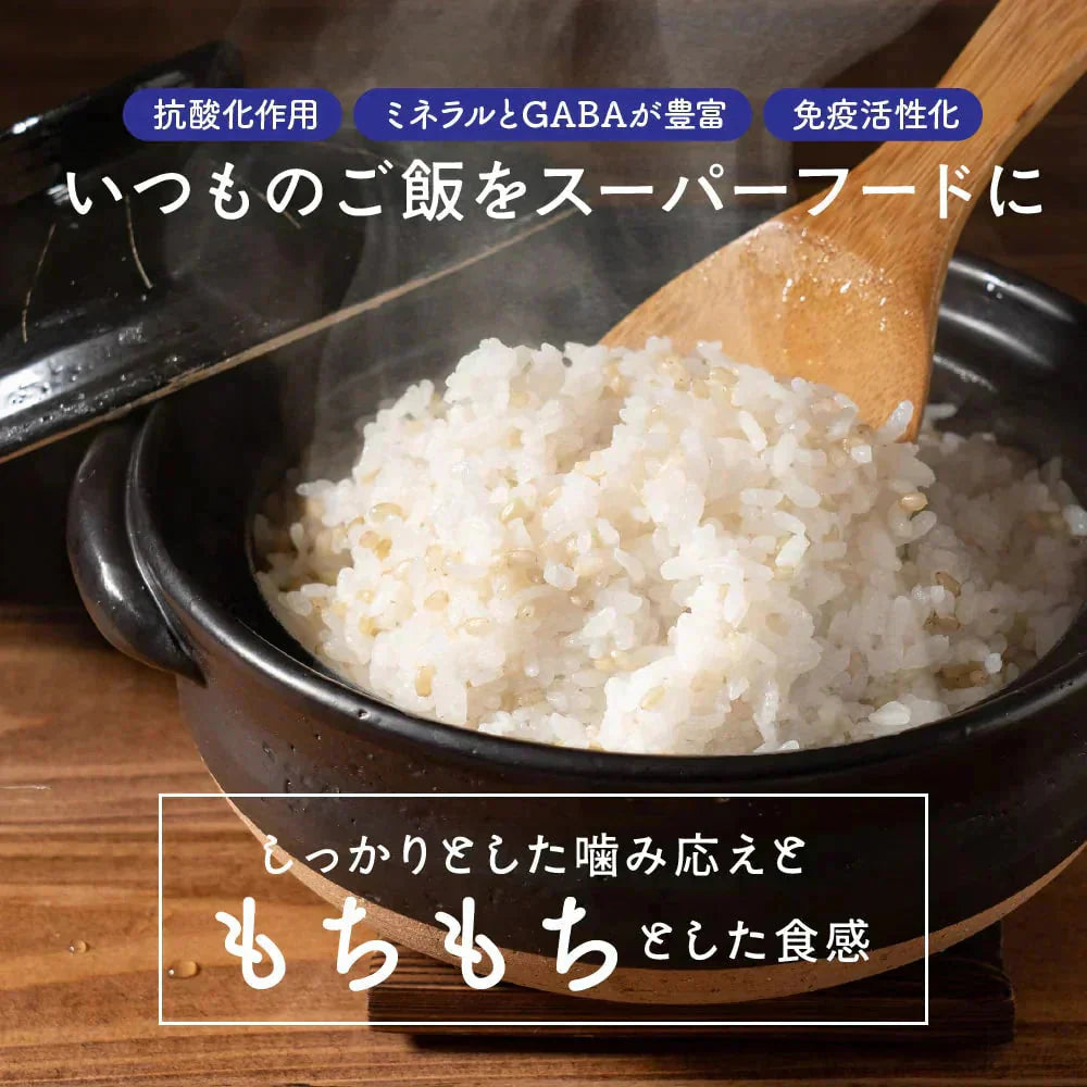 雑穀 雑穀米 国産 緑米 2.4kg(400g×6袋) ファミリーサイズ 無添加 無着色 送料無料 古代米 みどりまい