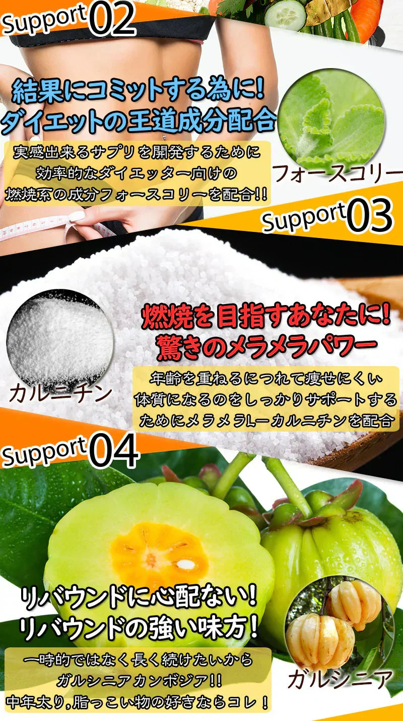【24時間モデル・お得2個セット】 本気ダイエット 短期集中-10kg  ダイエット専用 サプリメント くびれ美人 痩せない方の為のサプリ むくみ ダイエット効果 サプリ 減量 激やせ 激減 痩せる やせる 燃やす 短期減量 短期ダイエット スリムサポート 美ボディダイエットサプリメント 生酵素 酵素 燃焼 燃焼系 コレウスフォルスコリ フォルスコリン フォルスコリ おすすめ 人気 ランキング 効果 強力 最強 国産サプリ