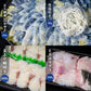 とらふぐ刺し × ふぐ鍋 極上膳 1.3kg  （とらふぐ刺し）（大容量 4～5人前）　ふぐ ふぐ刺し ふぐ鍋 てっさ てっちり ふぐ料理 高級 国産 ギフト お取り寄せ お歳暮 年末年始 お祝い