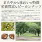 ピーカンナッツ チョコレート 100g（1袋） ココア ピーカンナッツチョコ キャラメル ナッツ チョコ バレンタイン スイーツ お菓子 贈り物 美味しいもの ［送料無料］健康 子供 ギフト プレゼント ※ポスト投函商品の発送は1～2週間前後になります
