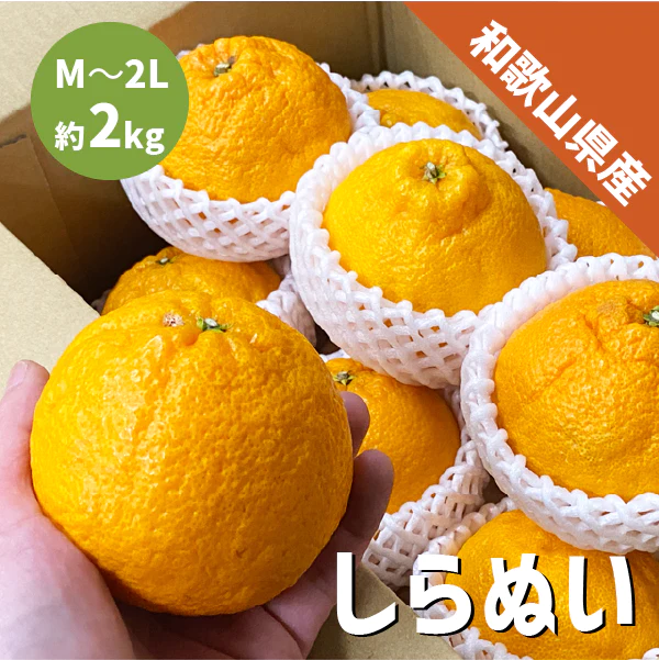 和歌山県産 しらぬい 約2kg 和歌山 不知火 ギフト 自宅用 贈答 柑橘