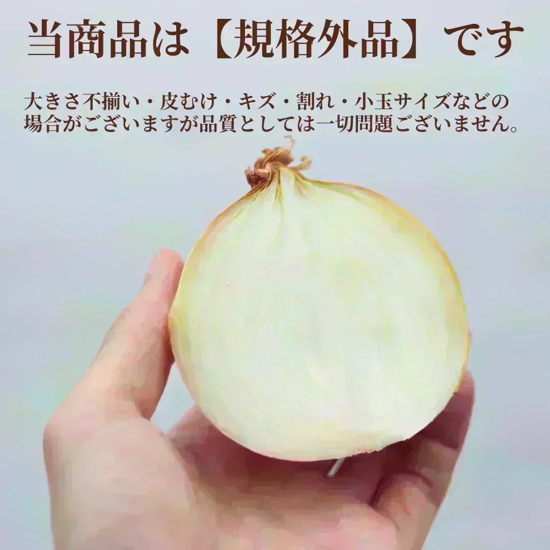 【規格外品】国産たまねぎ1.6kg（最低保証1.5kg）サイズランダム　玉葱 玉ねぎ タマネギ サラダ カレー 和食 野菜 惣菜 送料無料【カウシェファーム収穫対象商品】