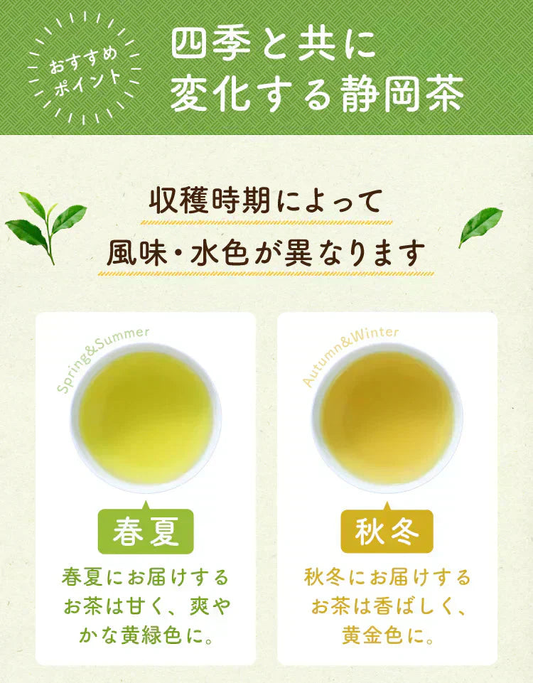 静岡県産緑茶 ティーライフのまかない茶 100個入