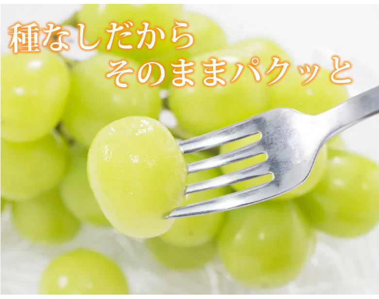 【7月下旬～8月上旬頃より順次出荷】シャインマスカット ぶどう 送料無料 2kg 3〜5房 九州産 マスカット 葡萄 ブドウ