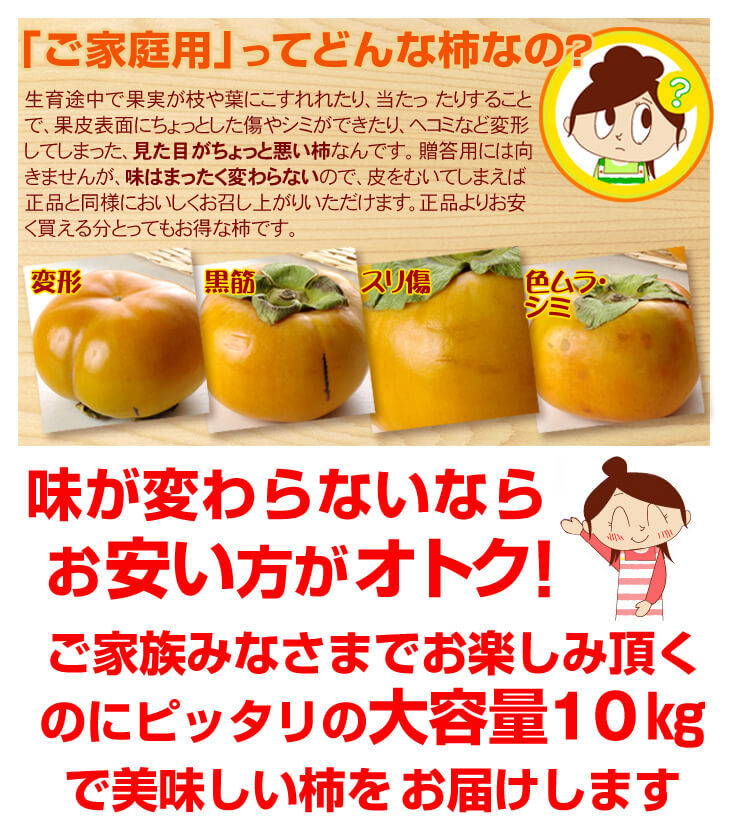 【数量限定】次郎柿 ご家庭用 約10kg 愛知産 甘柿（発送予定：10月下旬より）