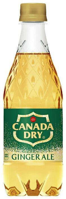 コカ・コーラ カナダドライ ジンジャーエール 500ml ペットボトル 24本入 炭酸飲料 ジンジャエール 割材