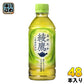 綾鷹 300ml ペットボトル 48本 (24本入×2 まとめ買い) コカ・コーラ 茶飲料 緑茶