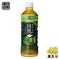 コカ・コーラ 綾鷹 濃い緑茶 525ml ペットボトル 48本 (24本入×2 まとめ買い) お茶 機能性表示食品