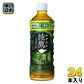 コカ・コーラ 綾鷹 濃い緑茶 525ml ペットボトル 24本入 お茶 機能性表示食品