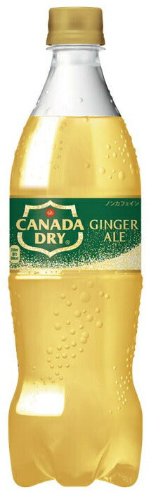 コカ・コーラ カナダドライ ジンジャーエール 700ml ペットボトル 40本 (20本入×2 まとめ買い) 炭酸飲料 ジンジャエール ノンカフェイン 甘さ控えめ 後味スッキリ
