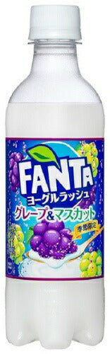コカ・コーラ ファンタ ヨーグルラッシュ グレープ&マスカット 380ml ペットボトル 48本 (24本入×2 まとめ買い)