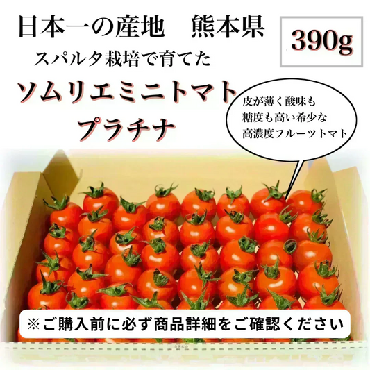 ６月３０日で今季終了【ご注文後1ヶ月前後での発送】お試し【希少な高濃度フルーツトマト】ソムリエミニトマト　プラチナ　３９０ｇ【カウシェファーム収穫対象商品】