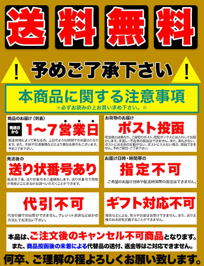ゴロッと 玉ねぎ と骨付き チキン の スープカレー【1人前 260g×２袋】富良野市場/ネコポス