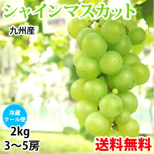 シャインマスカット ぶどう 送料無料 2kg 3〜5房 九州産 マスカット 葡萄 ブドウ