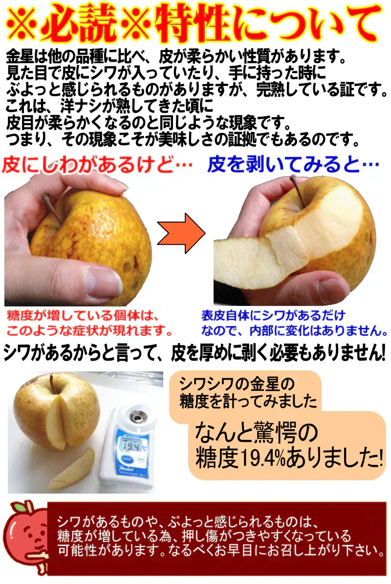 青森県産 りんご 金星 5kg箱【加工用】　★金星 加 5kg 箱
