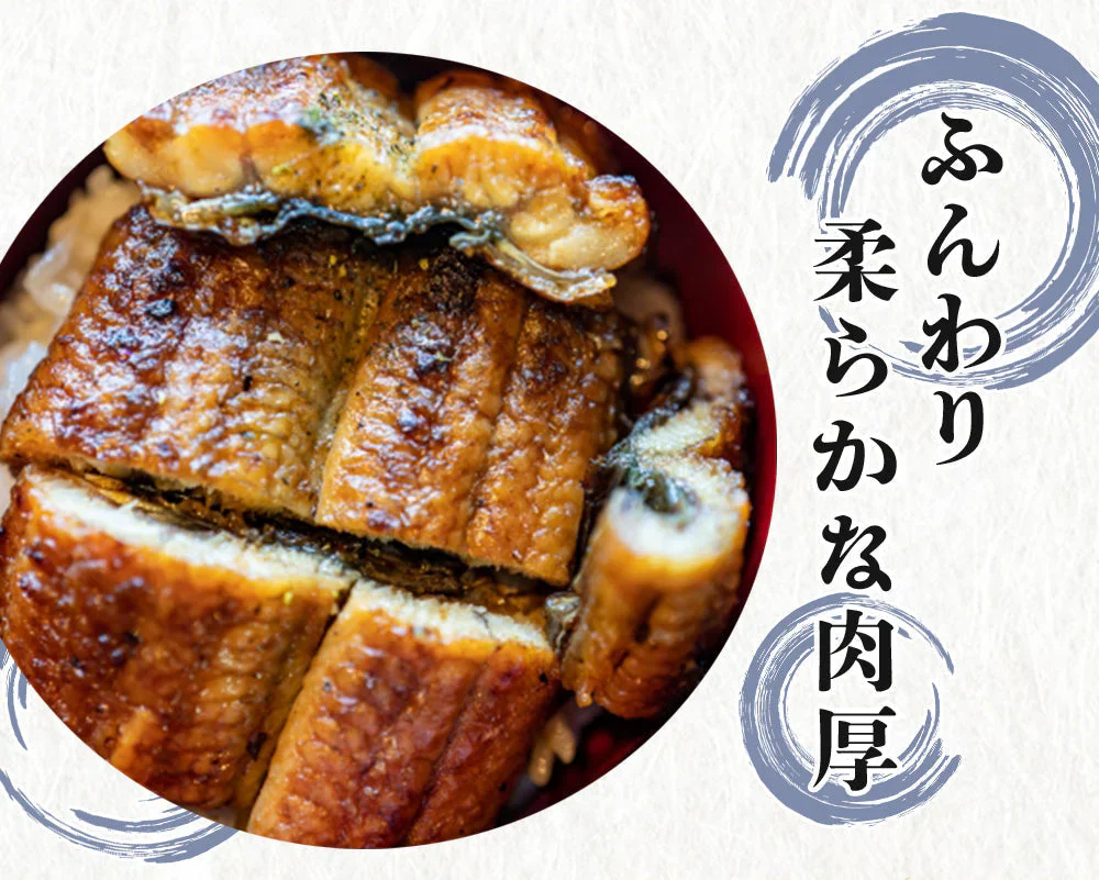 うなぎ蒲焼 鰻蒲焼 2尾 送料無料 特大サイズ 蒲焼 土用の丑の日 うなぎ ウナギ 鰻 中国産 メーカー直送 shr-021