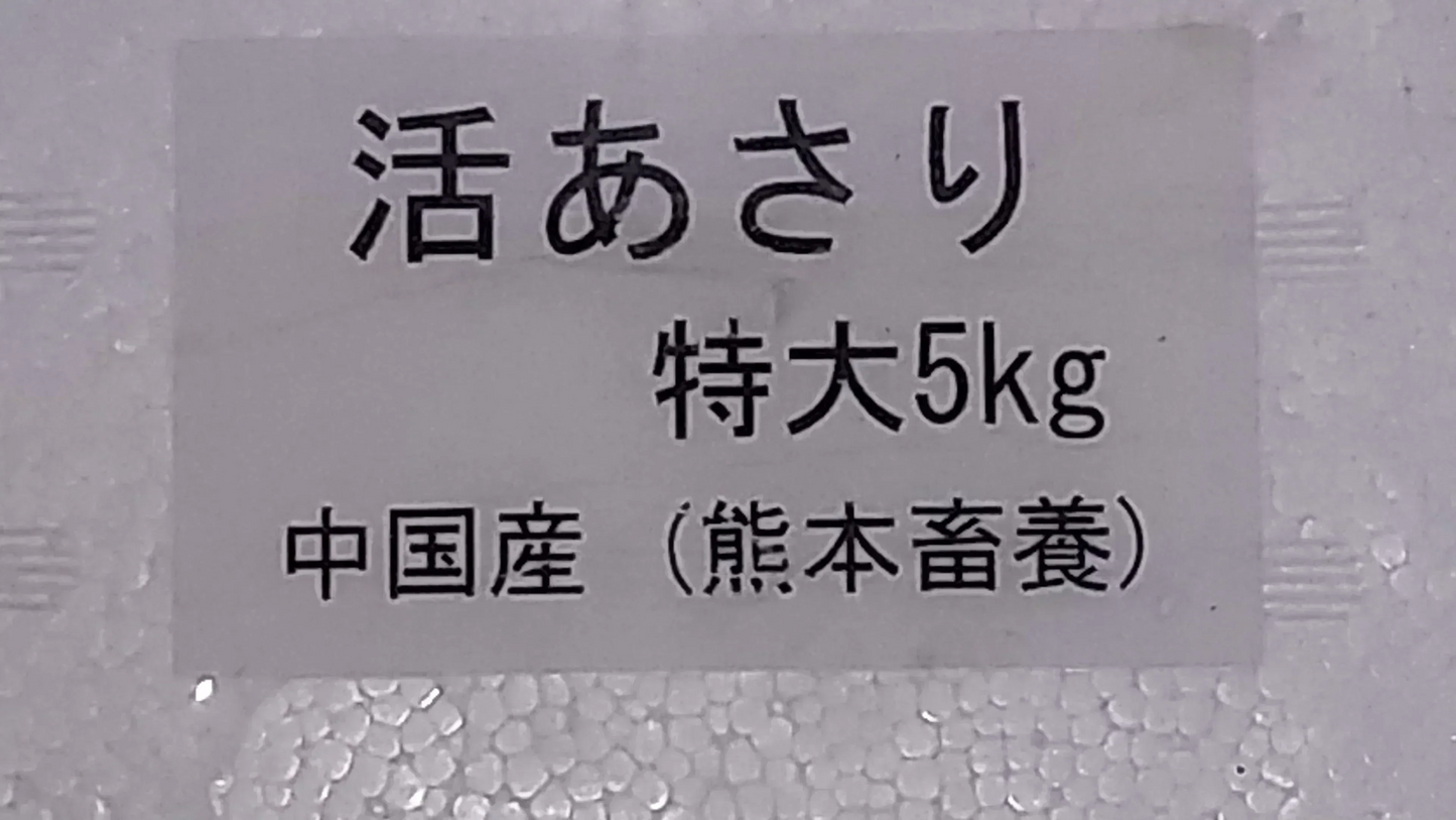 【水産仲卸直送】大人へのご褒美！活アサリ＆シジミを合わせてたっぷり1.6㎏！