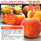 訳あり 黄桃 5kg前後 産地箱 モモ もも ピーチ サイズ・玉数おまかせ ご家庭用 送料無料 業務用 箱詰め 黄色い桃
