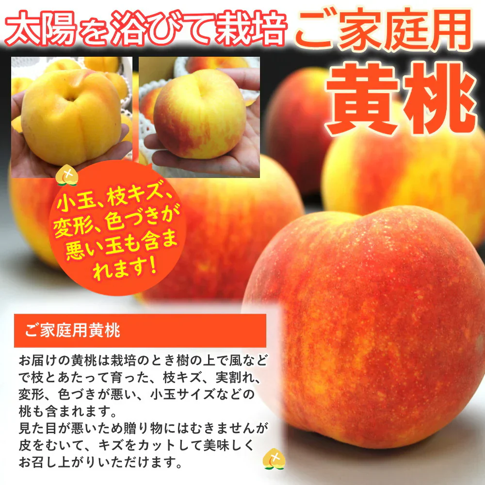 訳あり 黄桃 5kg前後 産地箱 モモ もも ピーチ サイズ・玉数おまかせ ご家庭用 送料無料 業務用 箱詰め 黄色い桃