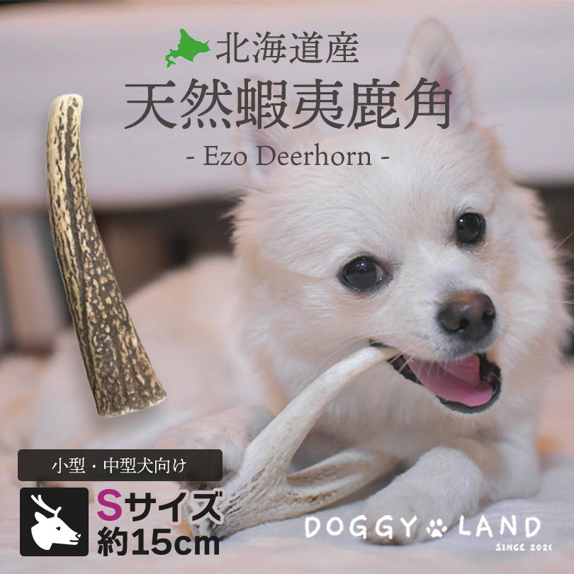 Deerhorn【Sサイズ】 北海道産 鹿角 ペット 犬 おもちゃ 小型犬 プレゼント いたずら防止 おやつ デンタルケア ガム 犬用 鹿の角 天然 無添加 柴犬 コーギー いぬ イヌ チワワ トイプードル