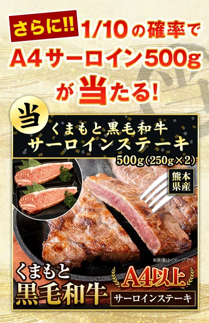 【新商品★お肉ガチャ】＼A4ランク黒毛和牛サーロインが当たるかも！？／ 黒毛和牛 A4ランク サーロイン リブ ハンバーグ クラシタ 肩ローススライス 福袋 《3-7営業日以内に発送予定(土日祝日を除く)》