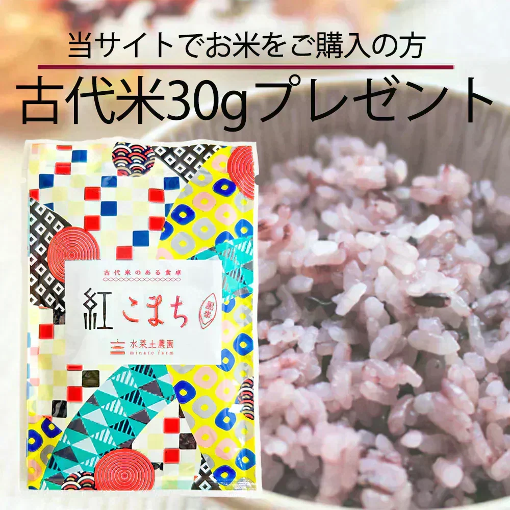 こしひかり 精米5kg 令和7年産 【古代米プレゼント付き】