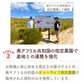 【最短当日出荷】黒豆 ルイボスティー こだわりブレンド 100個入 3袋セット（ 水出しOK ノンカフェイン ティーバッグ 大容量）