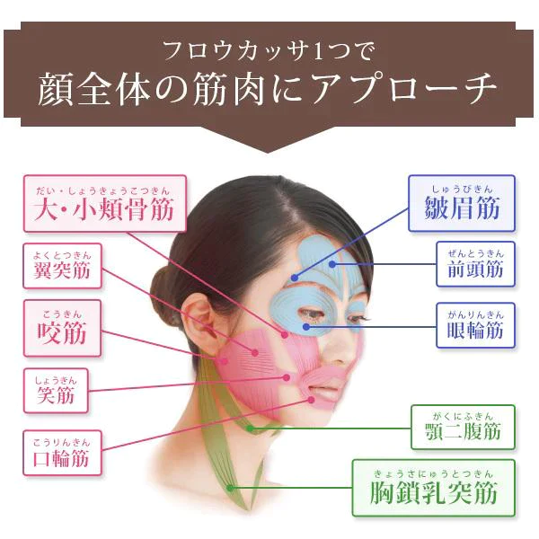 EMSカッサ美顔器全身スリムセット フロウカッサ 超保湿化粧水 ハンドマスク 形状記憶ジェルクリーム 馬プラセンタサプリ