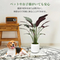フェイクグリーン 「モミジレッド」 観葉植物 大型 人工観葉植物 リアル フェイク グリーン インテリア 飾り用 撮影用 部屋飾り 造花 お祝い プレゼント おしゃれ