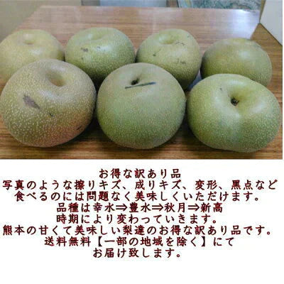 梨 訳あり（豊水・秋月・新高・愛宕など）約5kg（約5～24玉）送料無料【ゲリラセール】