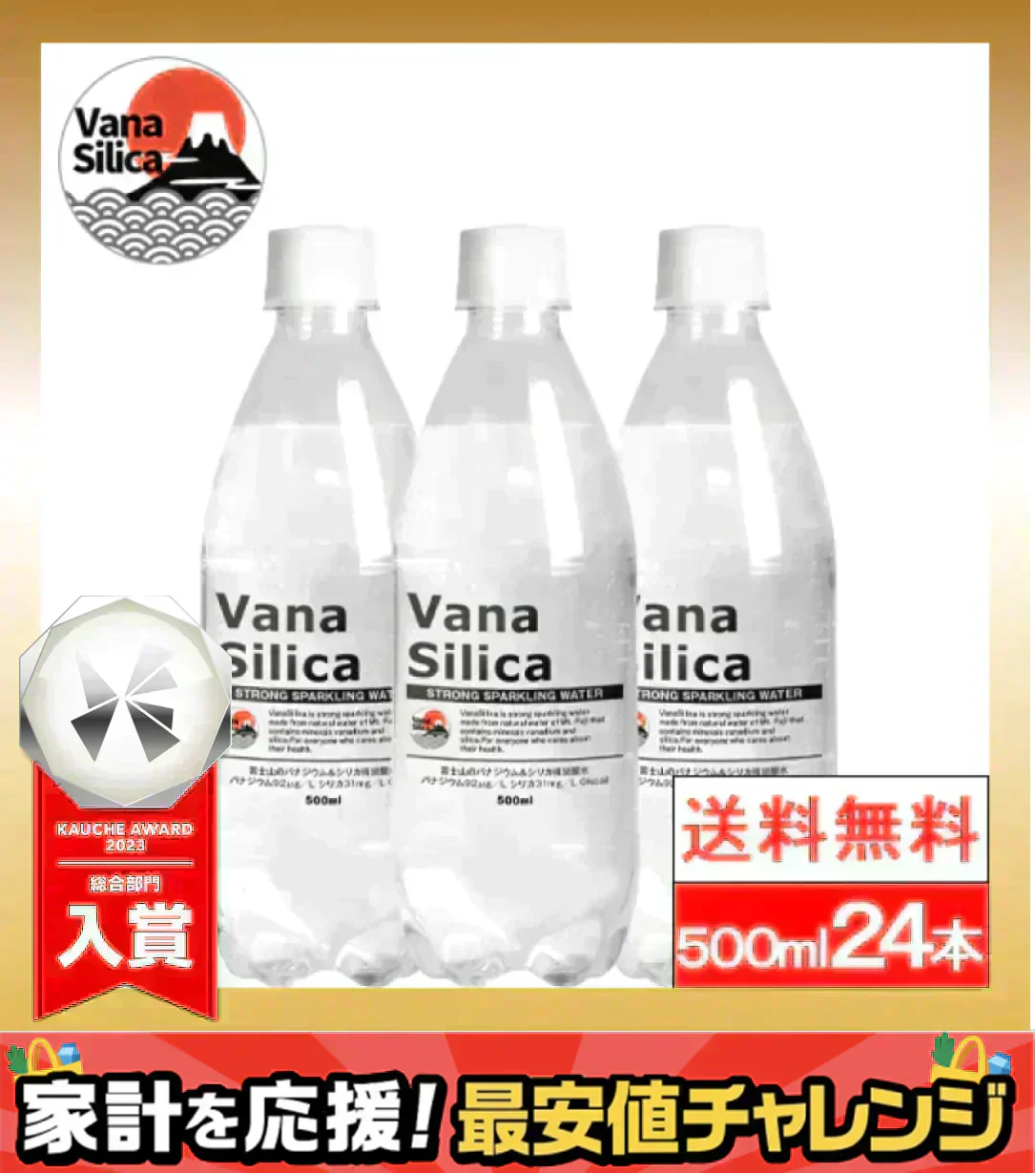【1ケース】【送料無料】 富士山のバナジウム＆シリカ 強炭酸水 VanaSilica（バナシリカ） 500ml 24本 プレーン