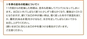 [大袋] 羅臼産 切り出し昆布 310g 徳用サイズ