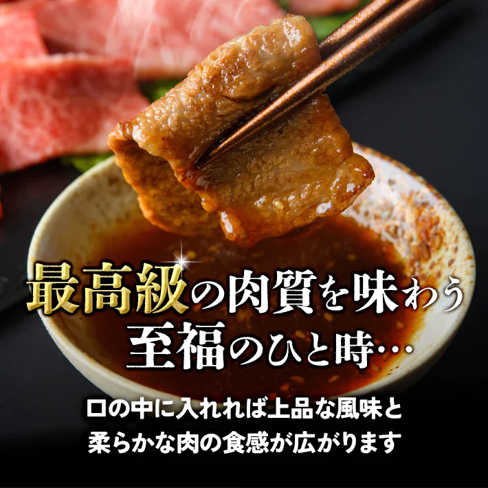 各100ｇ 3種 仙台牛 焼き肉 贅沢食べ比べセット BBQ a5 和牛