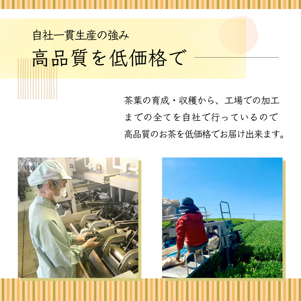 【在庫処分！】玄米茶 2ｋｇお茶　玄米茶  国産 静岡 静岡茶 牧之原 牧之原茶 無添加  大容量 冷茶  茶 玄米 国産米 入り米 深蒸し茶