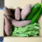 〔合計2kg〕野菜セット (ジャンボいんげん500g+ズッキーニ500g(2本)＋さつまいも(1kg3-5本) 鹿児島県産