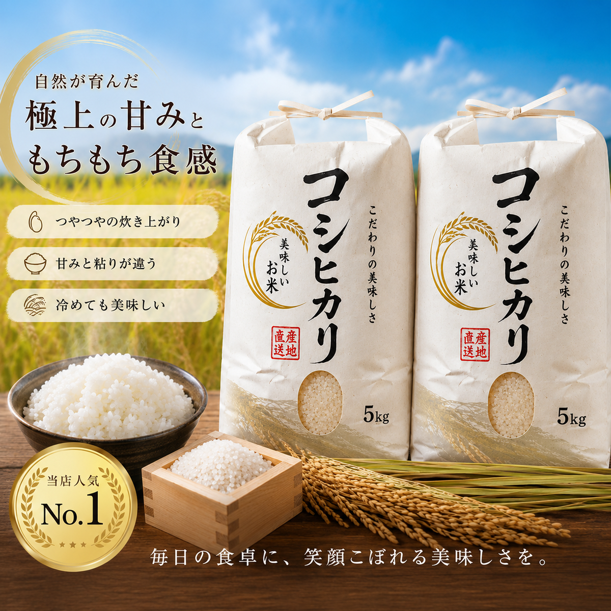 令和7年産コシヒカリ10Kg　 近江米