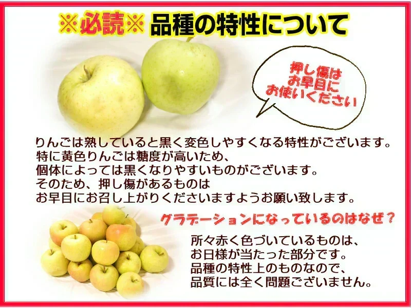 10月9日～発送！青森県産 りんご トキ 3kg箱 家庭用/訳あり ★トキ 家訳 3kg箱