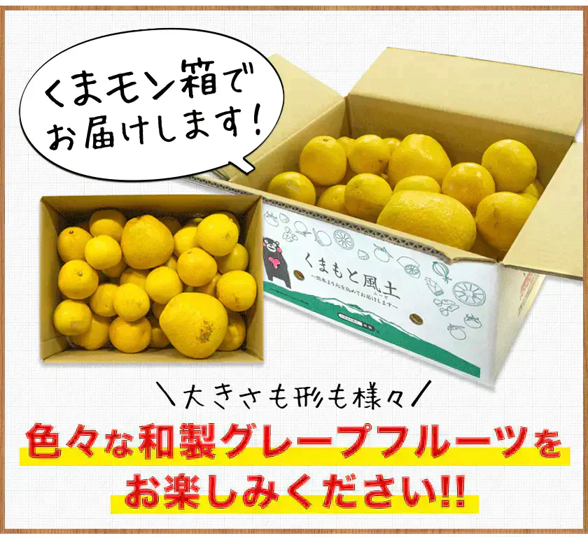 河内晩柑 5kg 送料無料 和製 グレープフルーツ フルーツ 果物 みかん 訳あり 夏文旦 晩柑 ジューシーみかん 熊本県産 《1-5営業日以内に発送予定》