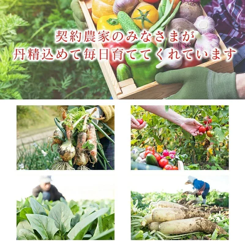[みさわのやさい] フルーツにんじん 国産 10kg 訳あり 人参 大きさ おまかせ ニンジン 野菜 北海道産 長崎産 千葉産 家庭用 業務用